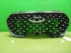 Chery Tiggo 8 Pro Max с 2022г Решетка радиатора (602001961AA)
