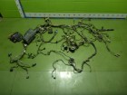 Ford Focus 3 с 2011г (Фокус) Проводка подкапотная (1.6л PNDA РКПП) (BV6T14K733ACC)